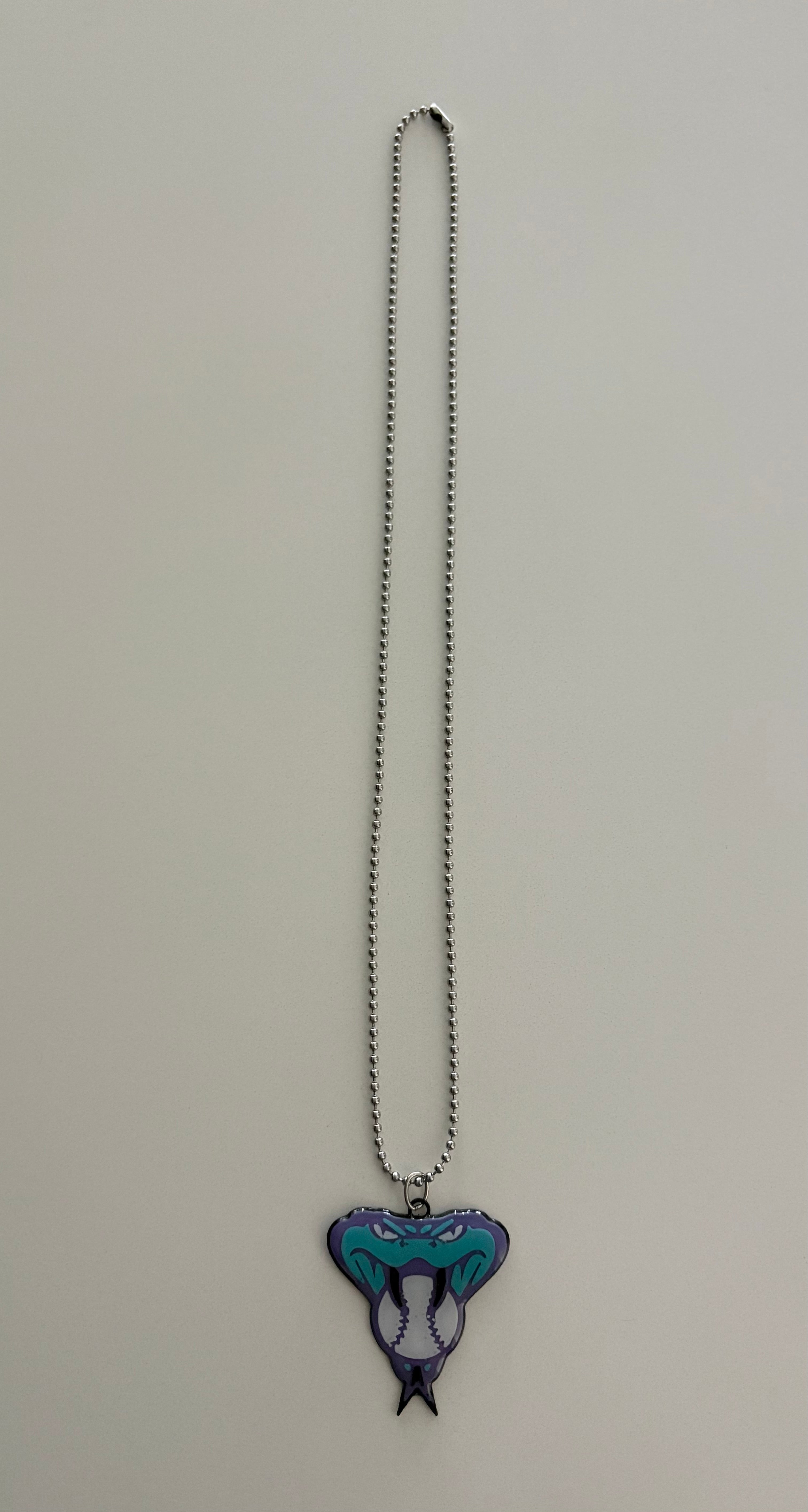 Arizona Diamondbacks Earrings and Chain